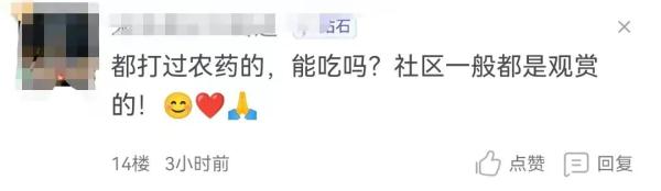 枇杷熟了，居民恼了，“花式采摘”太扰民，解决方法太无语