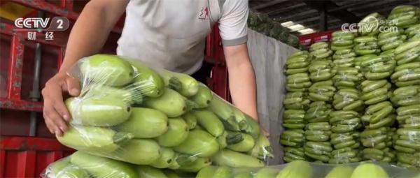 应季蔬菜大量上市 多种时令蔬菜价格出现季节性回落 应季蔬菜大量上市 多种时令蔬菜价格出现季节性回落