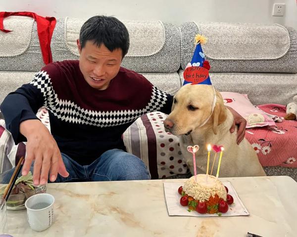 “阿布，你是我的眼！” 它，是石家庄第一只导盲犬