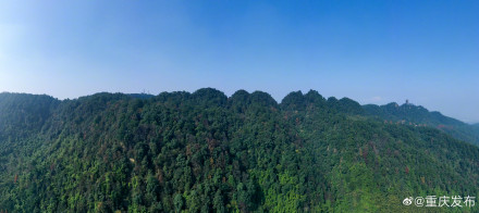 重庆两地入选首批国家林草科普基地