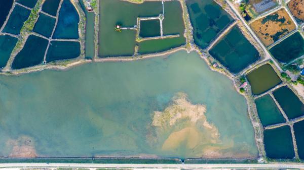 “南极村”风光 “南极村”风光