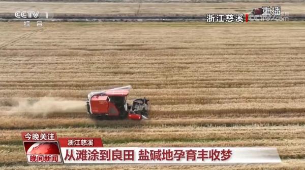 “奔跑”的三夏·瞰丰收