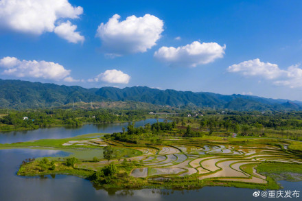 重庆两地入选首批国家林草科普基地