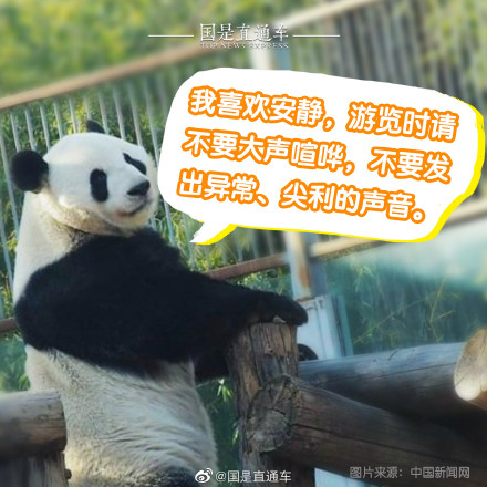 正确观熊指南来啦 正确观熊指南来啦