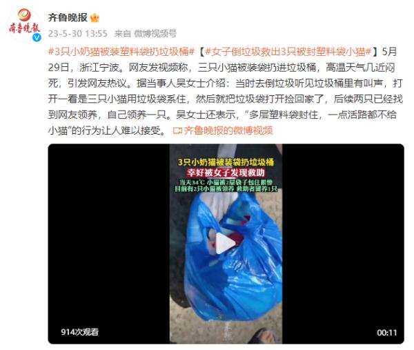 3只小奶猫被装塑料袋扔垃圾桶几近闷死，女子倒垃圾时救出