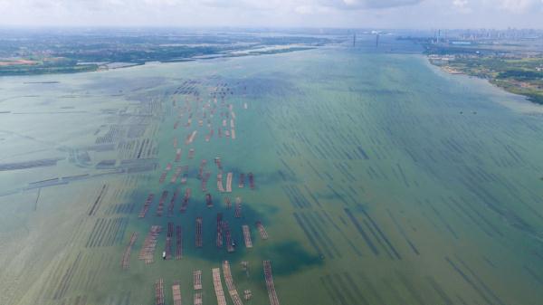 天空之眼瞰祖国:湛江,向海“湛”放 天空之眼瞰祖国:湛江,向海“湛”放