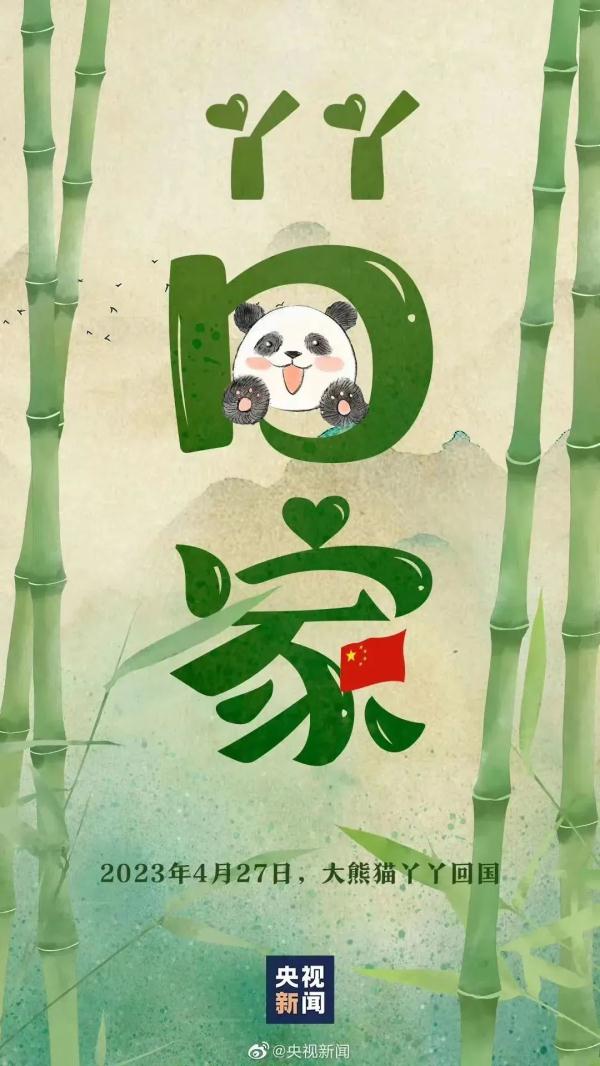 “丫丫”回家啦!网友:眼睛亮了,也胖啦~ “丫丫”回家啦!网友:眼睛亮了,也胖啦~