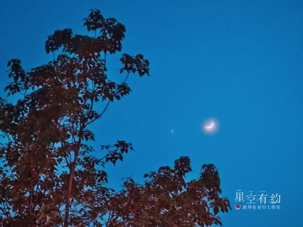 这个6月金星很“忙”，出演多部“天象大片”