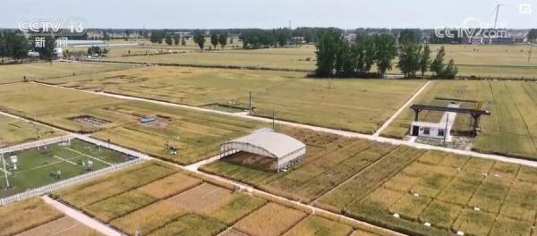 【大国科学家】张佳宝：为土壤“把脉会诊” 只为粮安天下