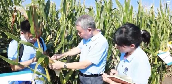 【大国科学家】张佳宝：为土壤“把脉会诊” 只为粮安天下