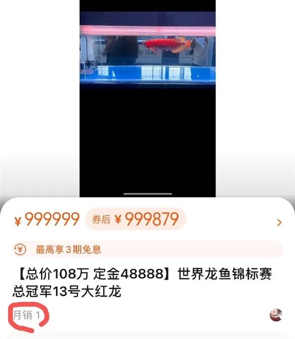 这条鱼价值100万！网友大为震撼...