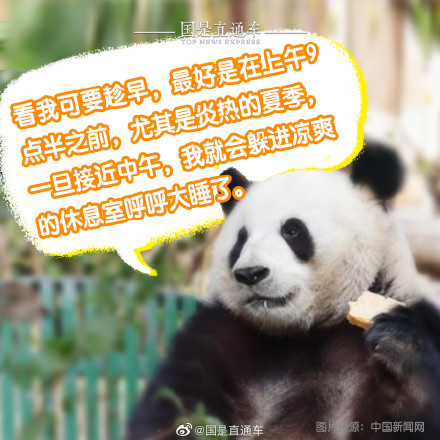 正确观熊指南来啦 正确观熊指南来啦