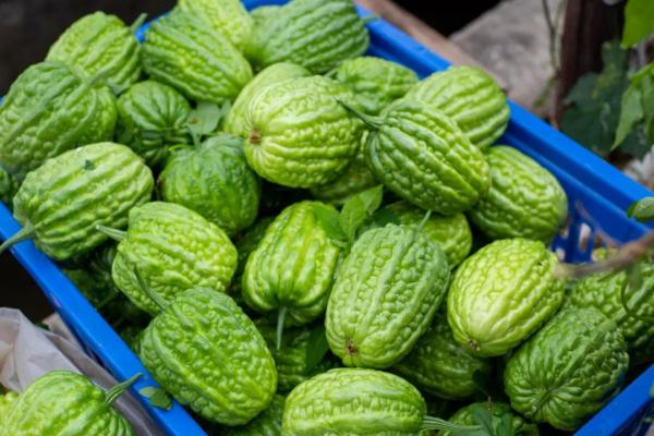 为什么这么多人来广东“自讨苦吃”? 为什么这么多人来广东“自讨苦吃”?