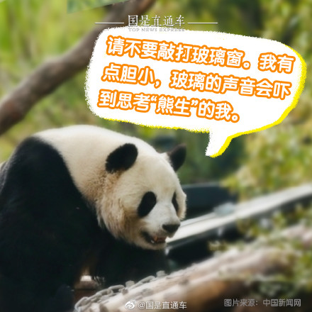 正确观熊指南来啦 正确观熊指南来啦