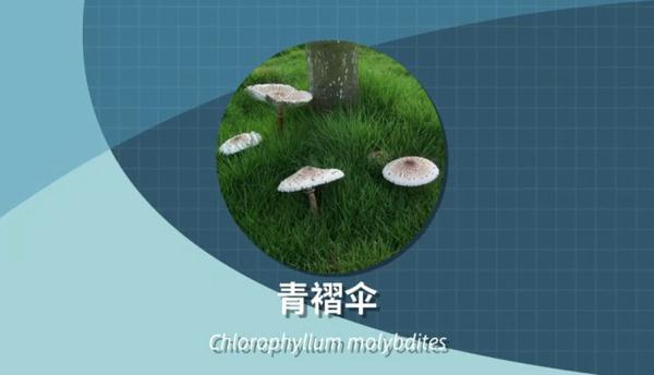 别采，别买，别吃！一地发布最新提示