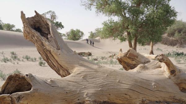 他们，是距离神舟飞船最近的警察