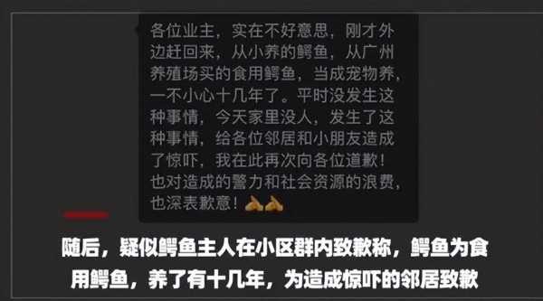 鳄鱼从天而降砸穿商铺门前地板，物业回应：业主偷偷养在家里，从鱼缸爬出摔下来了