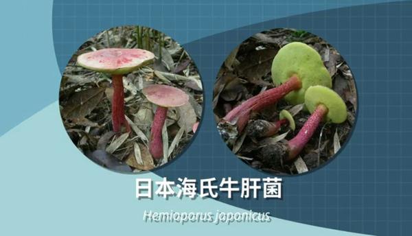 别采，别买，别吃！一地发布最新提示