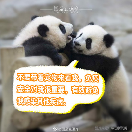 正确观熊指南来啦 正确观熊指南来啦