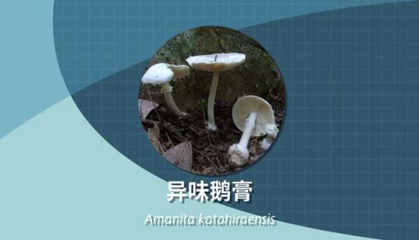 别采，别买，别吃！一地发布最新提示