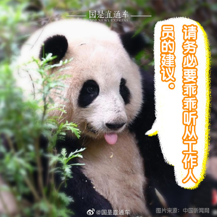 正确观熊指南来啦 正确观熊指南来啦