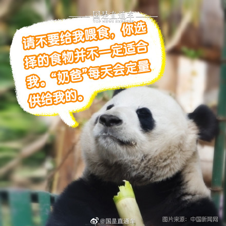 正确观熊指南来啦 正确观熊指南来啦