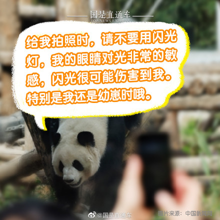 正确观熊指南来啦 正确观熊指南来啦