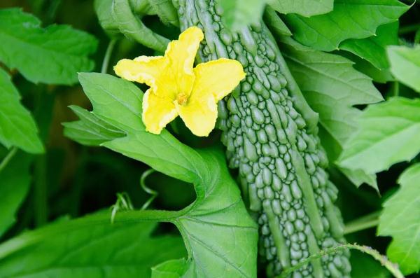 为什么这么多人来广东“自讨苦吃”? 为什么这么多人来广东“自讨苦吃”?