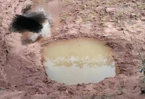 痛心！已有12名孩子遇难，最小仅3岁！