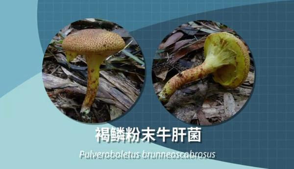 别采，别买，别吃！一地发布最新提示