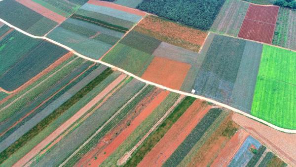 天空之眼瞰祖国:湛江,向海“湛”放 天空之眼瞰祖国:湛江,向海“湛”放