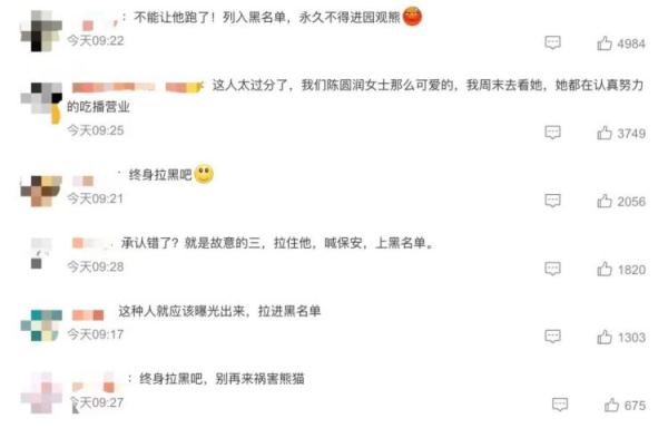 愤怒!大熊猫“园润”被一男子恶意泼水 愤怒!大熊猫“园润”被一男子恶意泼水