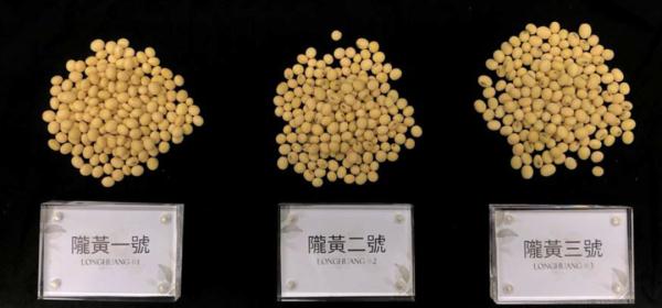 昨天飞入太空的，还有来自香港的……