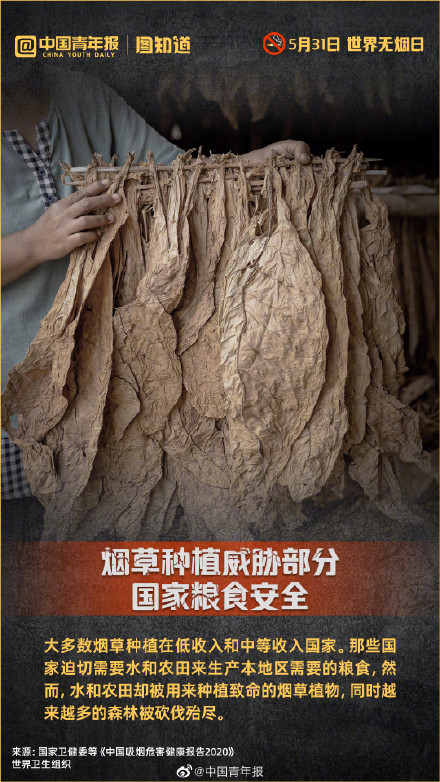 我国每年有上百万人因烟草失去生命 我国每年有上百万人因烟草失去生命