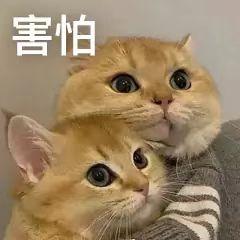 【实用知识】荔枝吃不对，当真会要命！
