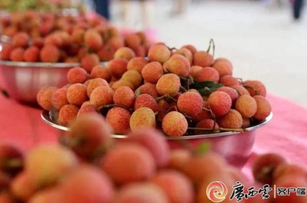给“荔”！钦州50万吨荔枝陆续上市，价格比往年略低！