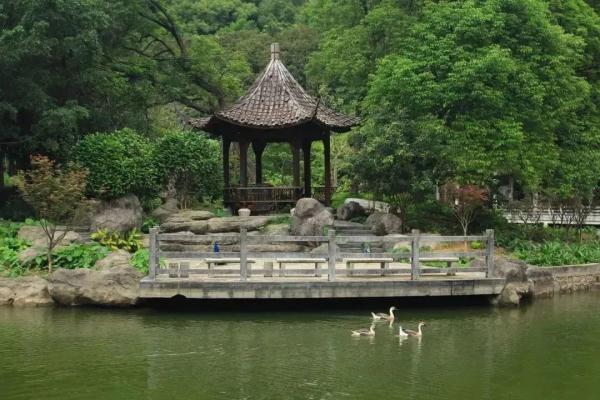 儿童节带娃好去处!广东多个景区宣布:免票 儿童节带娃好去处!广东多个景区宣布:免票