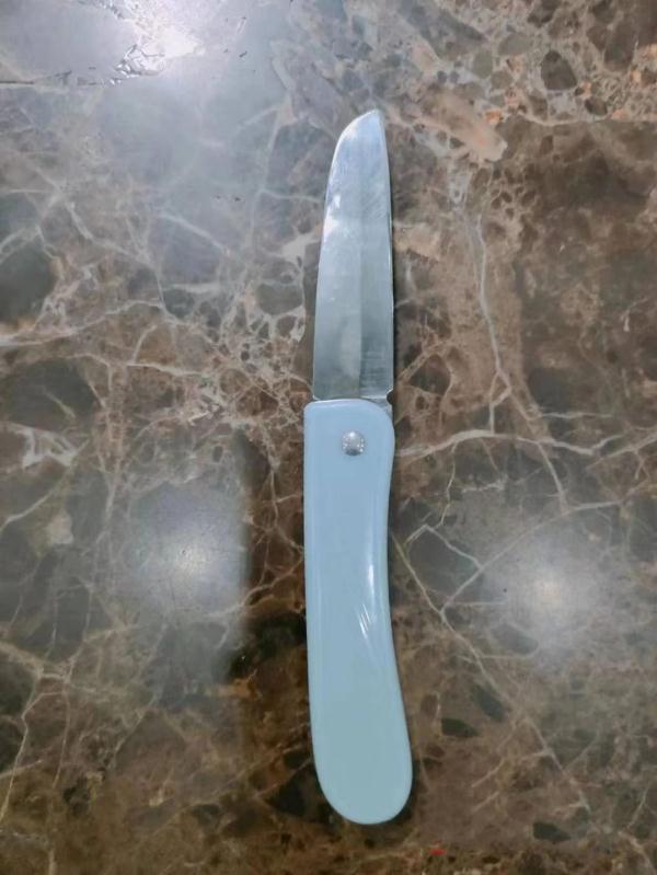 现场直击！实习学警“空手夺白刃”救下自残女子