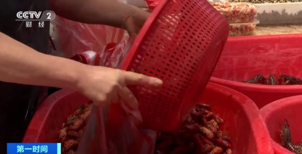 大降价!每斤价格已跌破10元 大降价!每斤价格已跌破10元