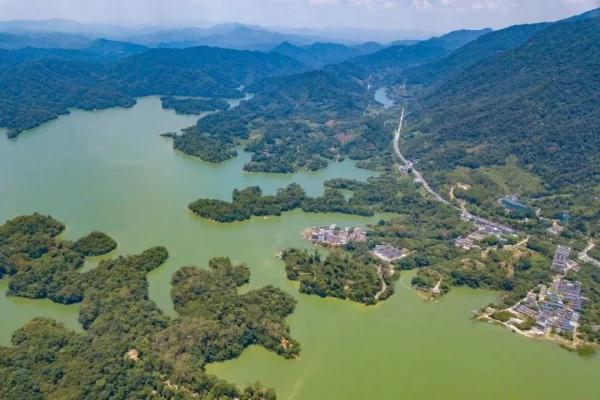 儿童节带娃好去处!广东多个景区宣布:免票 儿童节带娃好去处!广东多个景区宣布:免票