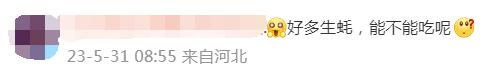 广东一地海滩突现大量生蚝，有人捡了百斤！官方提醒