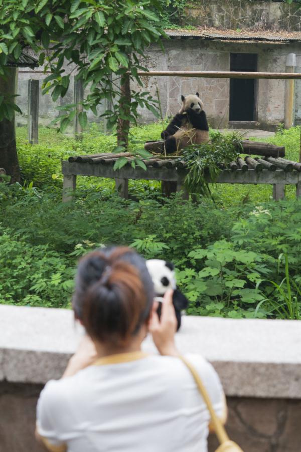 重庆:动物萌宝庆六一 重庆:动物萌宝庆六一