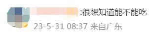 广东一地海滩突现大量生蚝，有人捡了百斤！官方提醒