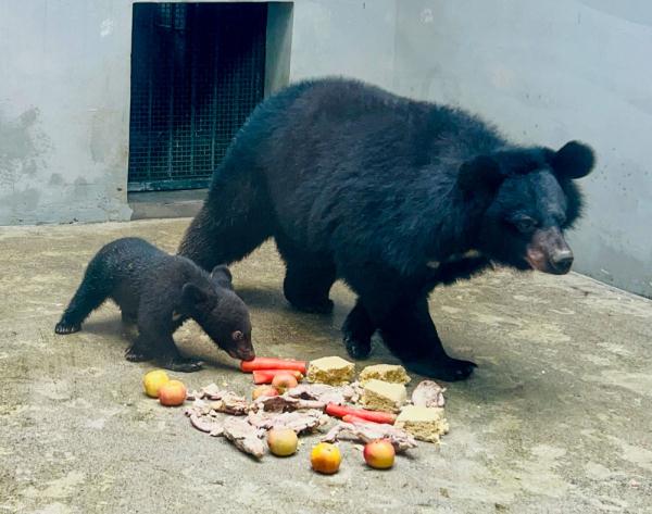 重庆:动物萌宝庆六一 重庆:动物萌宝庆六一