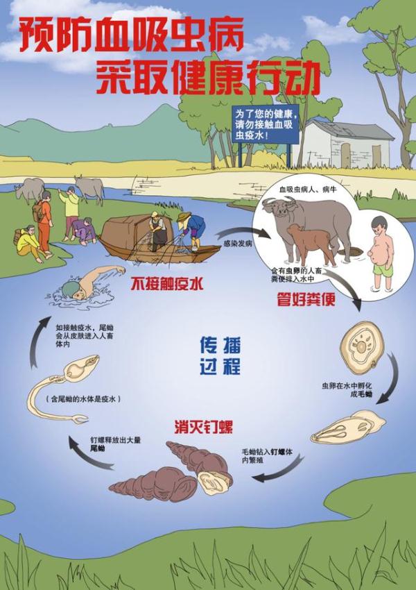 下水十秒即可感染，警惕江水中的“隐形杀手”