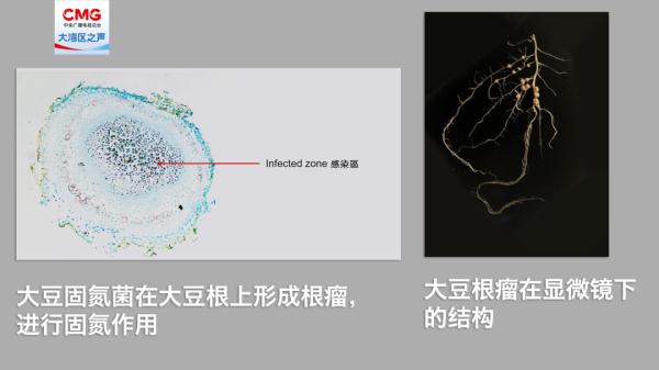 昨天飞入太空的，还有来自香港的……