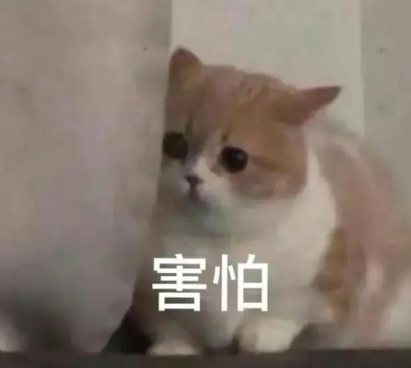【实用知识】荔枝吃不对，当真会要命！