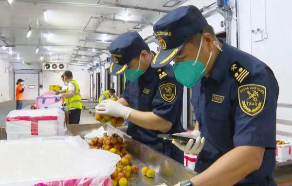 给“荔”！钦州50万吨荔枝陆续上市，价格比往年略低！