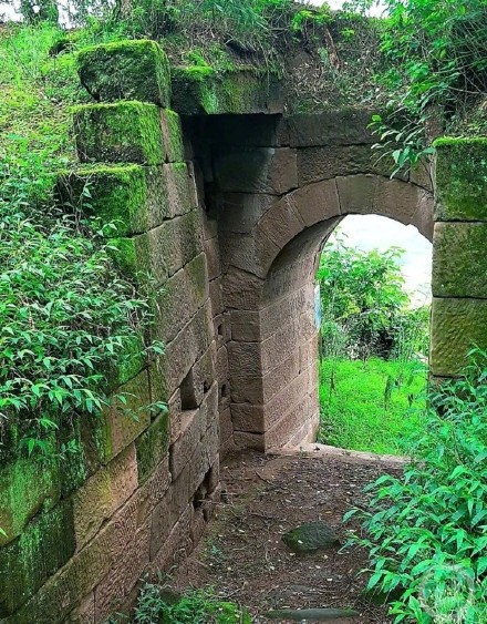 重庆又一遗址公园开建预计2024年全面完工 重庆又一遗址公园开建预计2024年全面完工