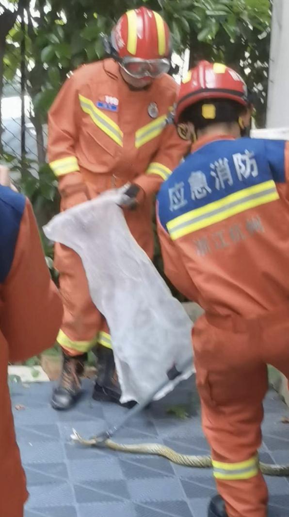 杭州多地接获警情，近期高发，不少人被吓坏了！